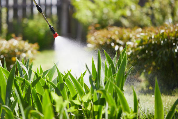 24/7 Emergency Termite Control experts in Yacolt, WA